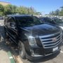 Photo of Blue Label Limousine