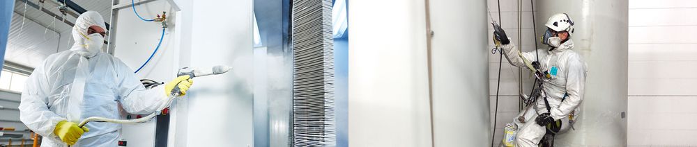 Slide of The American Romani Alliance