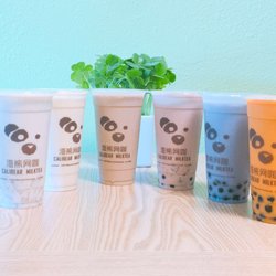 Calibear Cyber Cafe