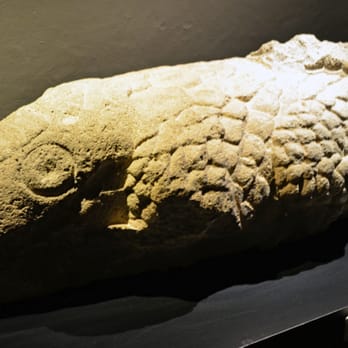 Templo Mayor - Cipactli, the earth monster; Templo Mayor, Aztec; no date; stone - Museums Near Me - México, D.F., DIF Templo Mayor - Cipactli, the earth monster; Templo Mayor, Aztec; no date; stone - Museums Near Me - México, D.F., DIF