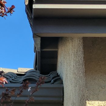 The Pest Guys - pigeon nesting area on tile roof - Pest Control Near Me The Pest Guys - pigeon nesting area on tile roof - Pest Control Near Me