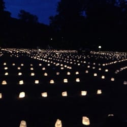 Elbhangfest e.V.
