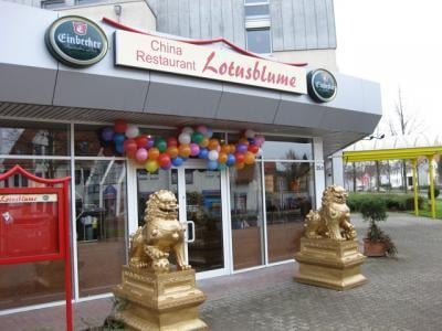 Lotusblume Gottingen Closed 42 Reviews Chinese Kasseler Landstr 25 D Gottingen Niedersachsen Germany Restaurant Reviews Phone Number Menu Yelp