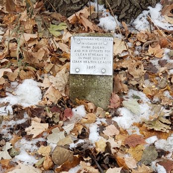 Graue Mill & Museum - Memorial tree outside mill - Museums Near Me - Oak Brook, Illinois