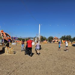Pierce Pumpkin Patch