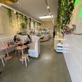 Coffee and Plants - Pic from entrance perspective. - Coffee & Tea Near Me - Studio City, California Coffee and Plants - Pic from entrance perspective. - Coffee & Tea Near Me - Studio City, California