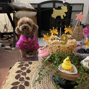 Three Dog Bakery - Pet Stores Near Me - Las Vegas, Nevada Three Dog Bakery - Pet Stores Near Me - Las Vegas, Nevada