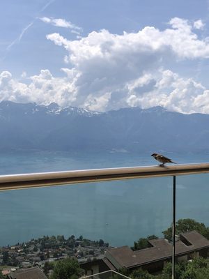 Le Mirador Resort & Spa by null