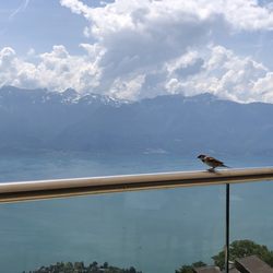 Le Mirador Resort & Spa