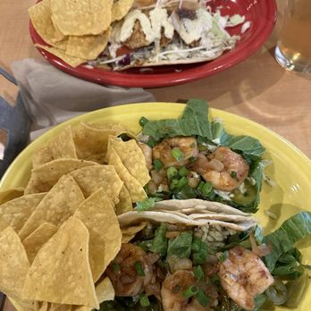 Black Bear Burritos - Fish and Shrimp Tacos - Mexican Near Me - Morgantown, West Virginia