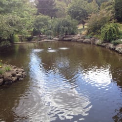 Warran Glen Garden & Cafe - A beautiful setting for lunch...