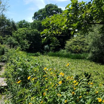 Alfred Caldwell Lily Pool - Parks Near Me - Chicago, Illinois Alfred Caldwell Lily Pool - Parks Near Me - Chicago, Illinois