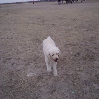 Chapin Dog Park - Dog Parks Near Me - Wichita, Kansas Chapin Dog Park - Dog Parks Near Me - Wichita, Kansas