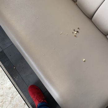 Nika Kitchen - Uncollected food residue left on the seats. - Persian/Iranian Near Me - Richmond Hill, Ontario Nika Kitchen - Uncollected food residue left on the seats. - Persian/Iranian Near Me - Richmond Hill, Ontario