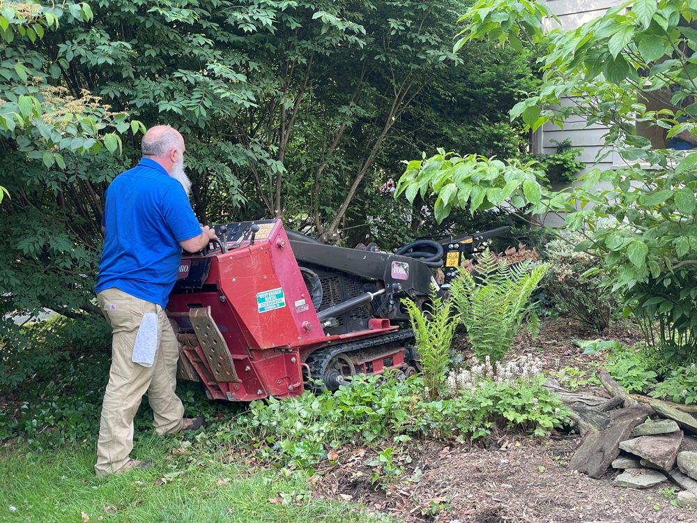 Radle Electric - veterans service organization in Camp Hill, PA