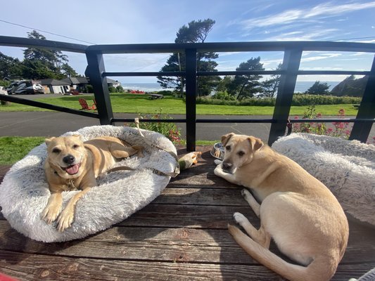 Agate Beach Motel by null