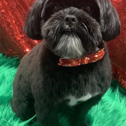 Elite Pet Salon