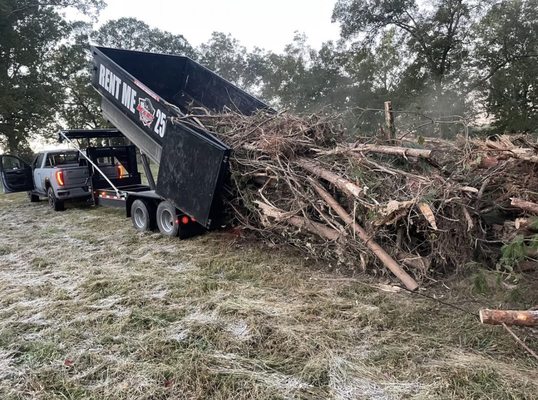 Tree Services - call for more info Tree Services - call for more info