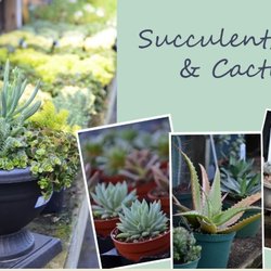 Duncheon's Nursery