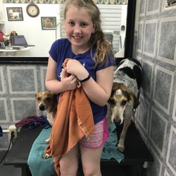 Cappoochino's Dog Wash & Grooming Salon - Drying off