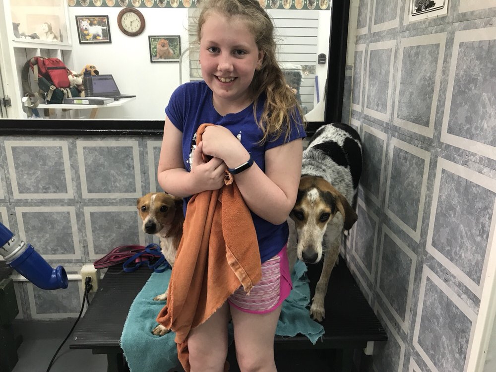 CAPPOOCHINO’S DOG WASH & GROOMING SALON Updated September 2024 3640