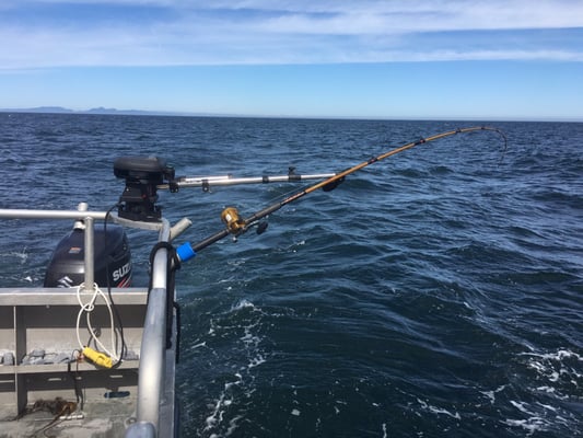 Kodiak Island Adventures by null