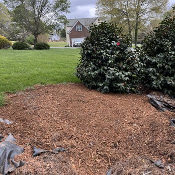 Stump Stompers - Tree Services Near Me