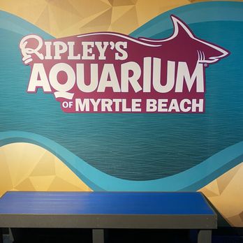 Ripley's Mirror Maze - Aquariums Near Me - Myrtle Beach, South Carolina Ripley's Mirror Maze - Aquariums Near Me - Myrtle Beach, South Carolina