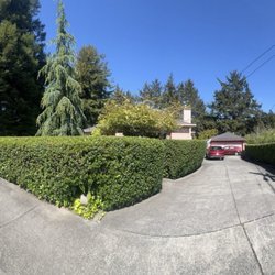 Hedges