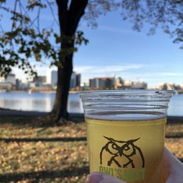 a hand holding a beer