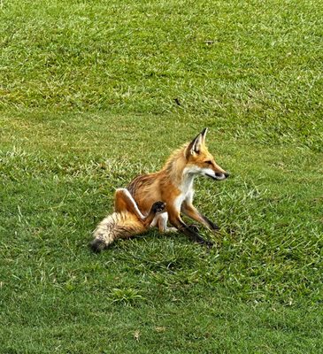 REDBANK PLANTATION GOLF COURSE Updated August 2025 2316 Red Bank Rd