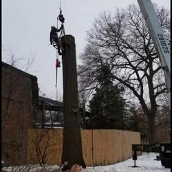 HotShot Tree Service