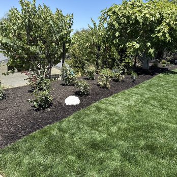 Virgo Designs And Landscaping - Landscaping Near Me Virgo Designs And Landscaping - Landscaping Near Me