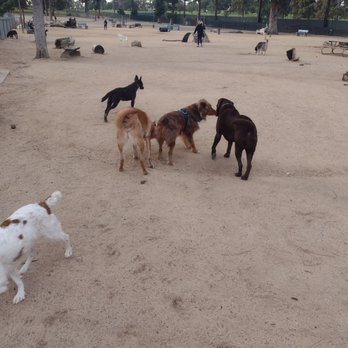 Recreation Dog Park - Lots of room to run - Dog Parks Near Me - Long Beach, California Recreation Dog Park - Lots of room to run - Dog Parks Near Me - Long Beach, California