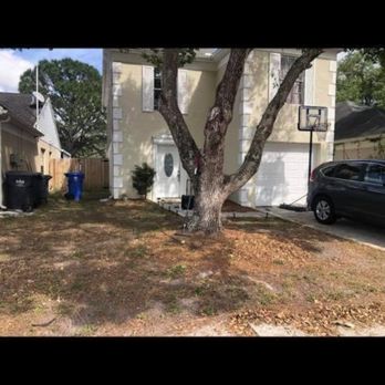 Cutting Green - Removal of old sod. - Lawn Services Near Me Cutting Green - Removal of old sod. - Lawn Services Near Me
