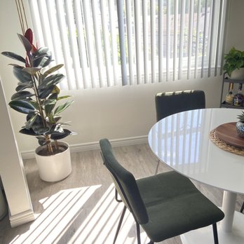 Echo Garden - gorgeous rubber tree plant fitting nicely in its new corner! - Nurseries & Gardening Near Me - Los Angeles, California Echo Garden - gorgeous rubber tree plant fitting nicely in its new corner! - Nurseries & Gardening Near Me - Los Angeles, California