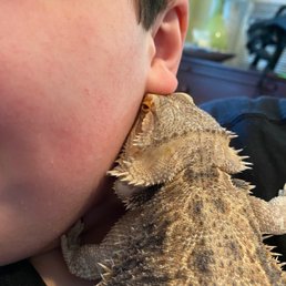 Pepe gives her boy a smooch, she's feeling all better! Pepe gives her boy a smooch, she's feeling all better!