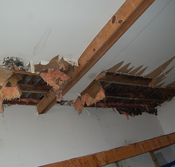 Loss Recovery Experts