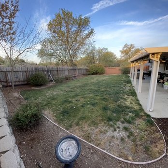 Artificial Turf By Fenix - A Before picture - 4 years after sod installed, diseased after we hired someone to aerate and dethatch. - Artificial Turf Near Me - Rocklin, California