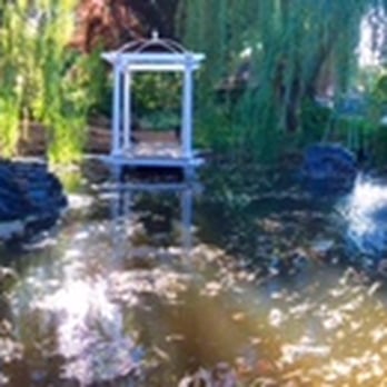 The Willows Bed And Breakfast - Willows Wedding Pond - Bed & Breakfast Near Me - Central Point, Oregon The Willows Bed And Breakfast - Willows Wedding Pond - Bed & Breakfast Near Me - Central Point, Oregon