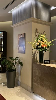 Paradox Sydney by null