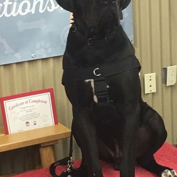 Camp Bow Wow - Pet Groomers Near Me - Oak Ridge North, Texas