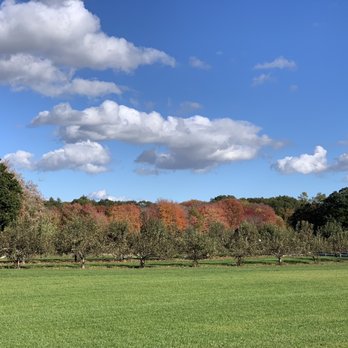 Dame Farm & Orchard - Apple Orchard - Farmers Market Near Me - Johnston, Rhode Island