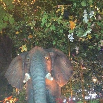 Rainforest Cafe - Elephant makes noise - American Near Me - Atlantic City, New Jersey Rainforest Cafe - Elephant makes noise - American Near Me - Atlantic City, New Jersey