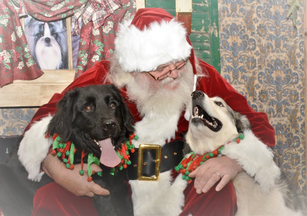 ANIMAL HEALTH CENTER OF FRANKLIN 11 Reviews Veterinarians 400