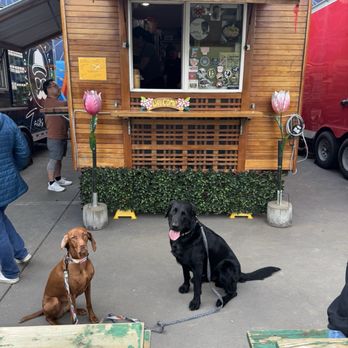 Mama Chow's Kitchen - The pack waiting patiently - Food Trucks Near Me - Portland, Oregon