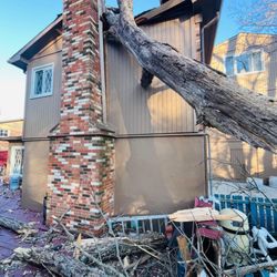 Warrior Roofing - Tree removal in Woodbridge, VA
