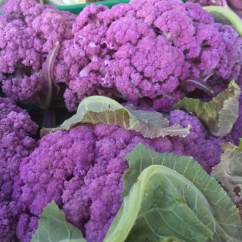 Terra Verde Farms - purple cauliflower heads - Pick Your Own Farms Near Me - Everson, Washington