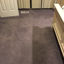 All Carpet - Carpet looks great.