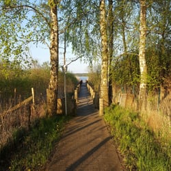 Fleesensee
